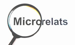 MICRORELATS3-300x179