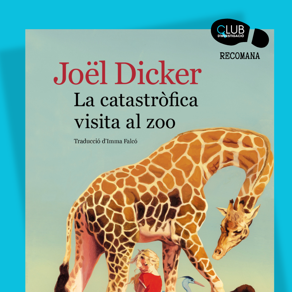 Comproveu la disponibilitat